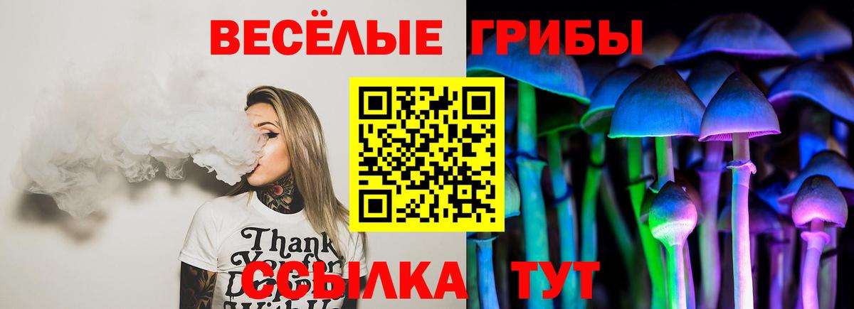 Псилоцибиновые грибы ЛСД Александров