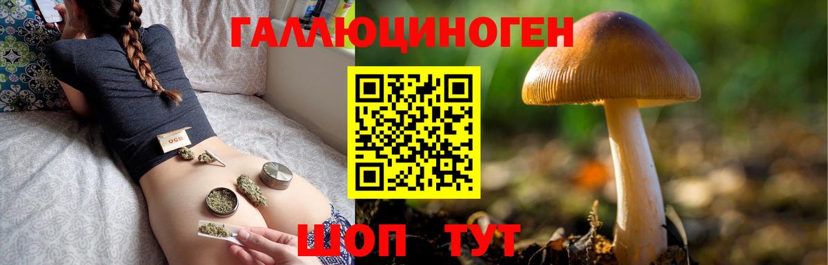 Псилоцибиновые грибы GOLDEN TEACHER  Вход с VPN  Галлюциногенные грибы Cubensis  Александров 